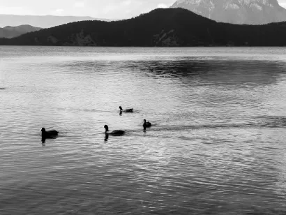 SlotoCash Casino Mobile App